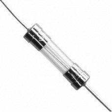 LittelFuse Glass Fuse 10A/250V